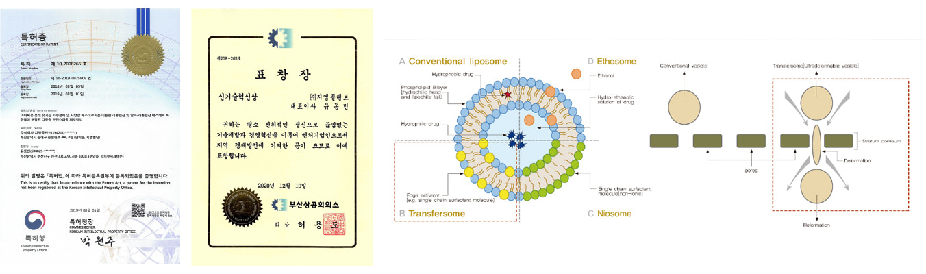 트랜스포좀 특허증, 신기술혁신상, 구조 비교도